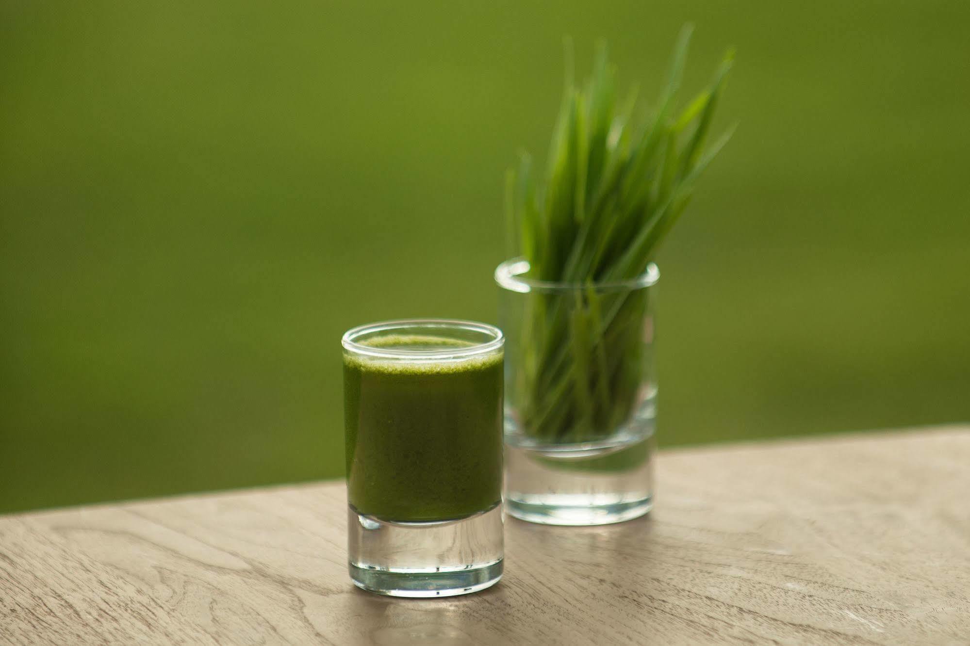 The Lifeco Antalya Well-Being Detox Center And Vegan Hotel Exteriör bild